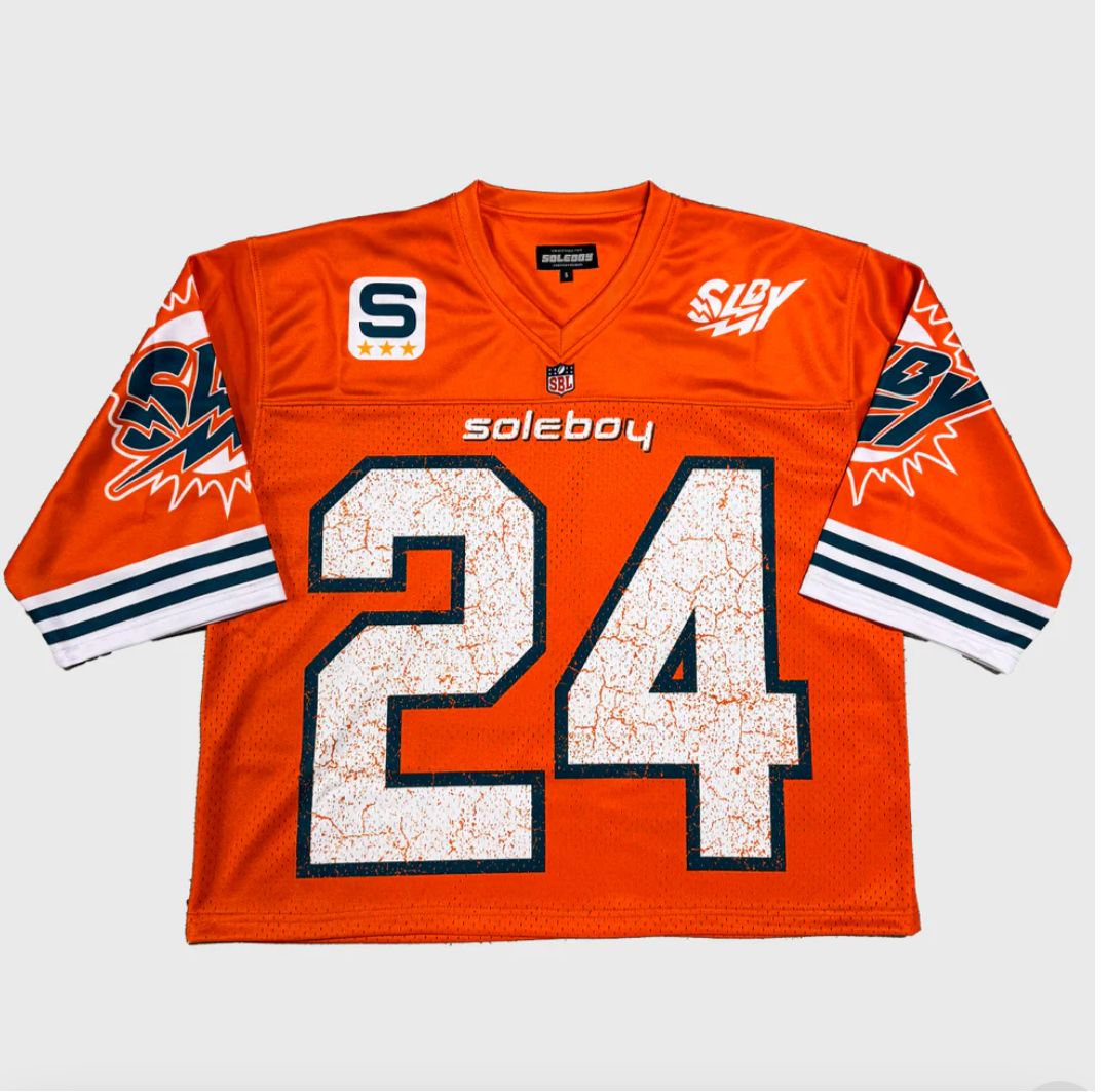 Dolphin Wave Jersey (Orange)